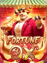 v7g cassino online Brasil apresenta Fortune Ox jogo de slots